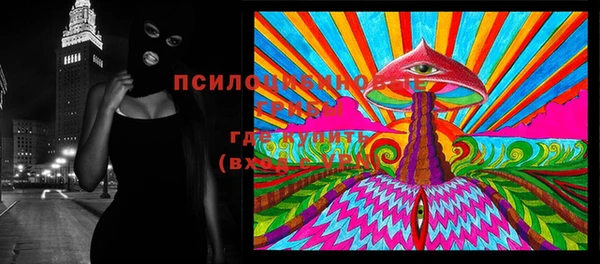 меф Горняк