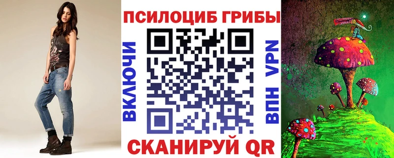 дарк нет Telegram  закладки  Меленки  Галлюциногенные грибы Psilocybine cubensis 